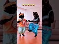 Billi ka nach 🥰 short viral video 😍🥳🤩