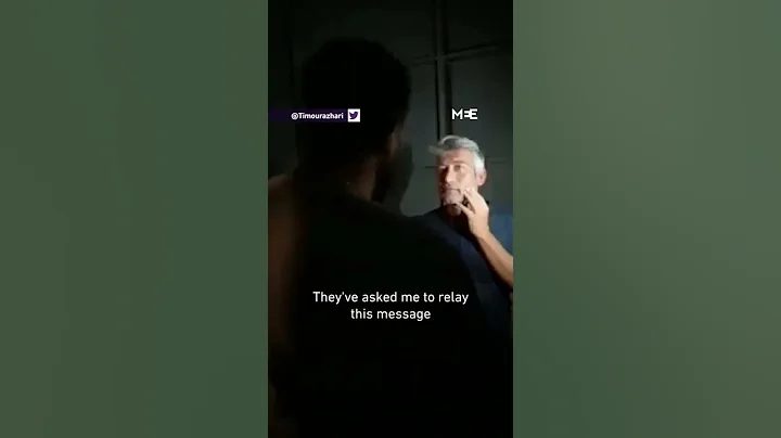 Lebanons energy minister assaulted by activist