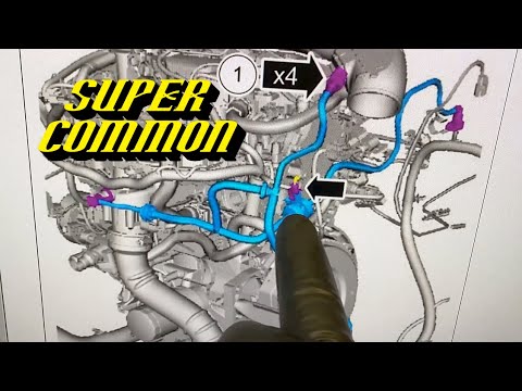 2013-2016 Ford Escape 1.6L/2.0L Ecoboost P1450 P144C: Canister Purge Valve Diagnosis and Replacement