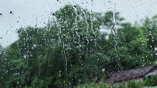 Healing Rain Sounds: The gentle patter of rain will help you fall asleep instantly tonight (4K ASMR)