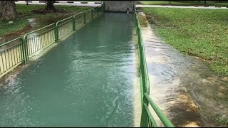 Canal overflowing at East Coast Park