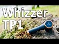 Блестящий - не значит пошлый I 10 фактов об ушах Whizzer TP1