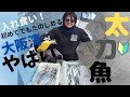 初心者が太刀魚テンヤで爆釣!その秘密とは
