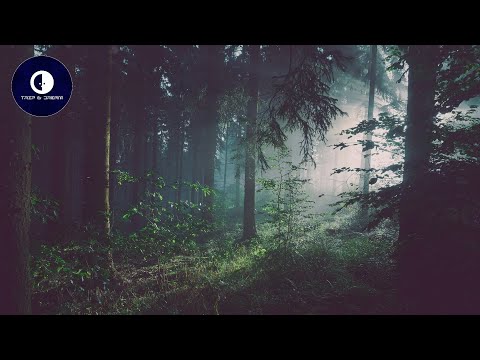 SAN NICOLAS - Virus ◆ PROGRESSIVE HOUSE ◆
