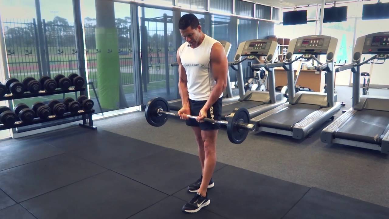 Close Grip EZ Bar Curl YouTube