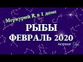 РЫБЫ гороскоп на ФЕВРАЛЬ 2020. Меркурий Ретро. Астролог Olga