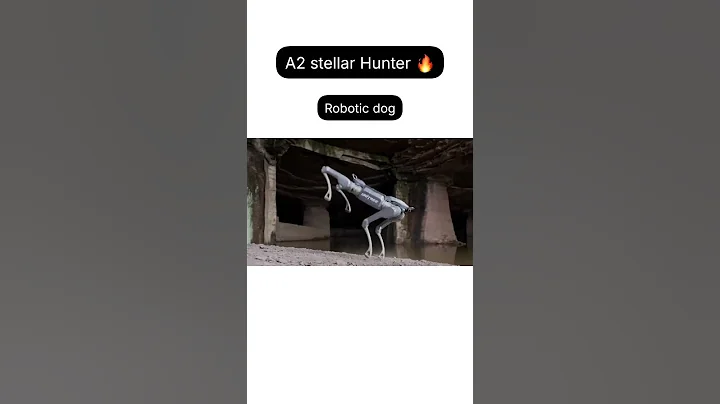 Unitree A2 Stellar Hunter: The Next-Gen Robot Dog 🔥🔥 #treanding #treandingshort #viral #viralshorts