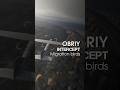 FPV Intercept // Targets in Motion