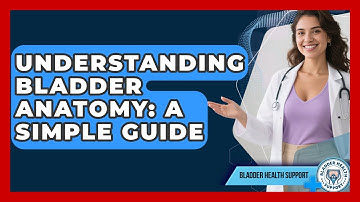 Understanding Bladder Anatomy: A Simple Guide - Bladder Health Support