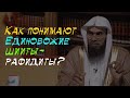 Истинная сущность Таухида у рафидитов | шейх Халид аль-Фулейдж