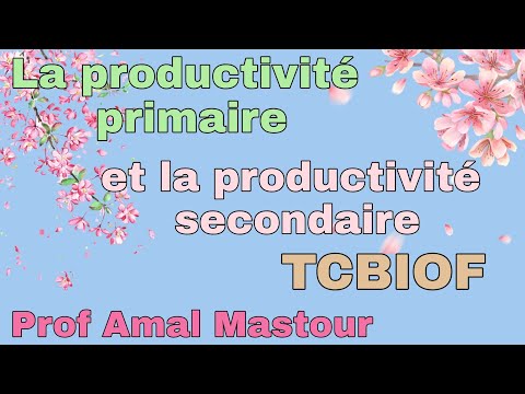 Vidéo: Différence Entre La Productivité Primaire Brute Et La Productivité Primaire Nette