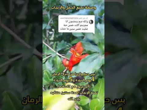 وصفة طبيعية تمنع الحمل و الانجاب