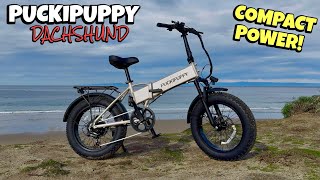 The Puckipuppy Dachshund E-Bike is MUST HAVE for Your Commute! @MontereyMagnetMan