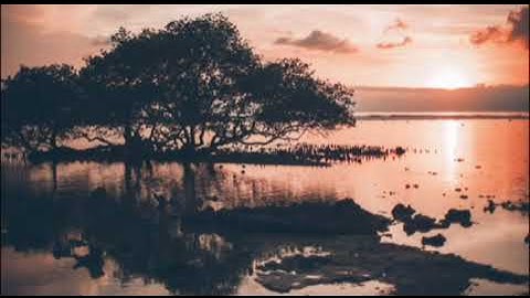 قرآن كريم || سورة البقرة || الآيات ( ١٥٣ - ١٥٧ ) || تلاوة هادئة