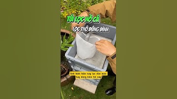 Túi Lọc Nước Hồ Cá Siêu Mịn Ngăn Hết Phân Cặn Bẩn! - Nuôi cá dưỡng tâm