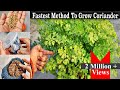 Fastest &amp; Easiest Method to Grow Coriander at Home || Seeds Germination in 4 days