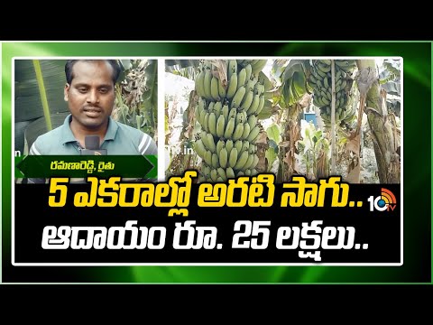 5 ఎకరాల్లో అరటి సాగు.. ఆదాయం రూ. 25 లక్షలు.. | Banana Crop Farming | Matti Manishi | 10TV News