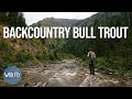 120 hours in bull trout country quest to find the elusive bull trout