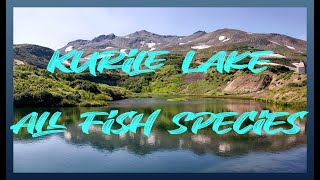 All Fish Species In Kurile Lake  - Ultimate Fishing Simulator 2 Playtest screenshot 4