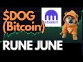 $DOG Bitcoin- How High can it soar after Kraken listing?
