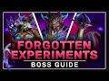 The Forgotten Experiments Guide - Heroic / Normal Aberrus the Shadowed Crucible WoW 10.1 Raid Guide