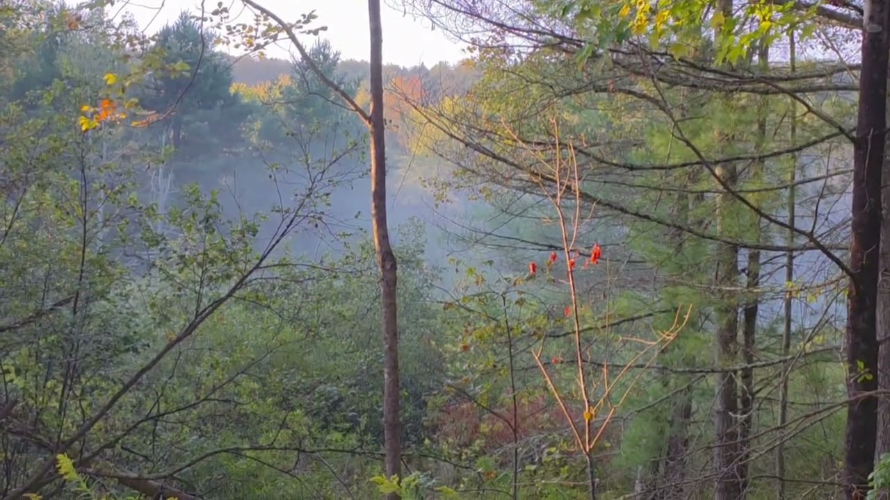 Down a Country Road -- Somewhere Upstate NY 