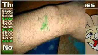 24 hour livestream Nova snorts fun dip
