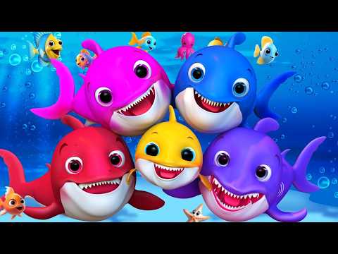 ベビーシャークとイルカさん - 童謡とキッズソング - 子供向け - バナナ手話漫画 #cocomelon #babysharksong