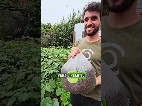 Por Dentro do Origem Composta - #3