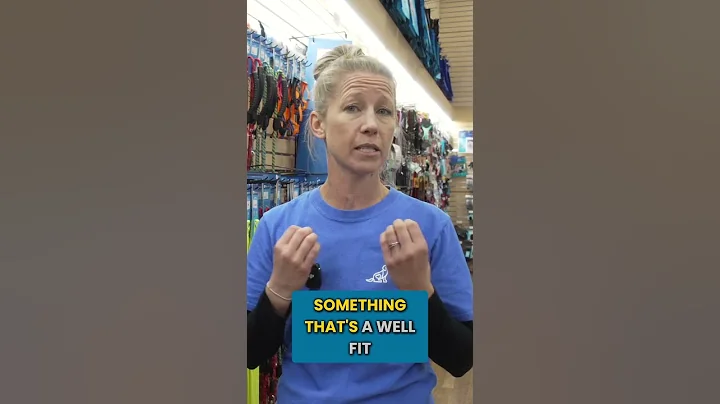 STOP Using These Dog Collars With Your Puppy!