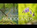 How to Photograph Woodlands + 2 adventures