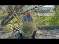 Keeping The Tradition Alive Samer Dabboun S Handmade Reed Baskets On Kobayat Road 