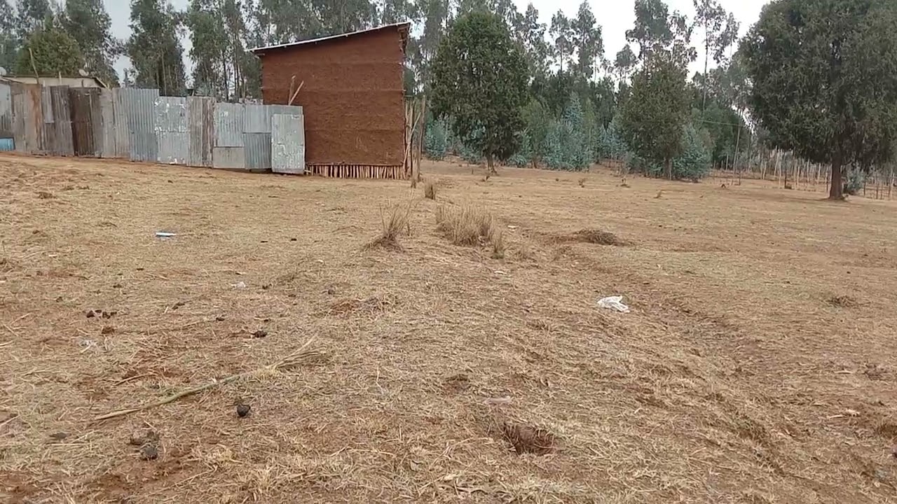 #video የሚሸጥ መሬት አለን በጣም ሀሪፍ ቦታ ነው  በተመጣጣኝ ዋጋ ይሸጣል እንዳያመልጣችሁ!!