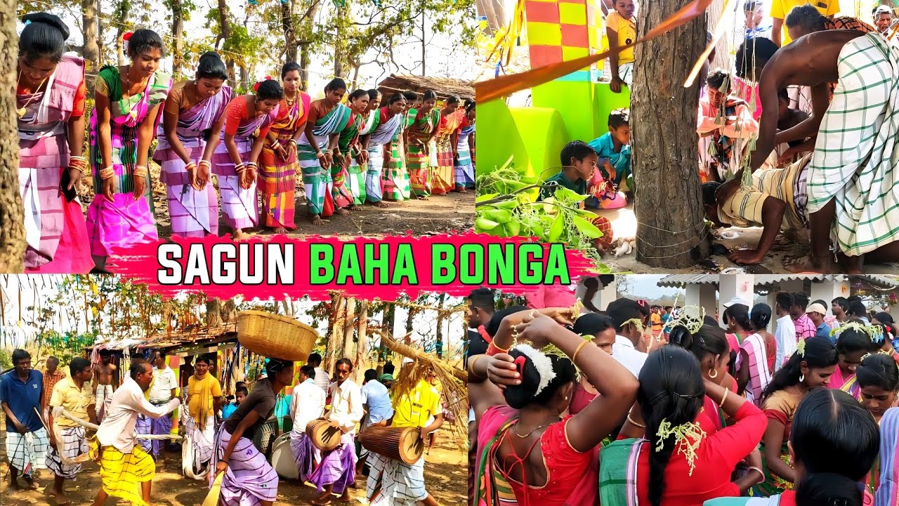 Baha Bonga || Ale Atu Baha Bonga Bhadu Sahi || @simaltudu  || new santali video