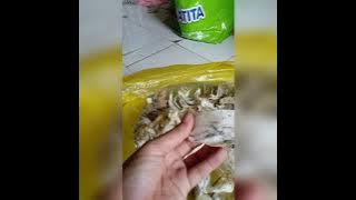 Bukti penggunaan Suara panggil king master dan inap dalam!!! Ini Hasil Sarang Waletnya