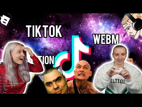 МОДЕСТАЛ СМОТРИТ: ПОДБОРКА МЕМОВ ИЗ ТИКТОК // TIKTOK WEBM COMPILATION 67