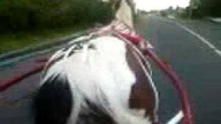 Video-0018.mp4