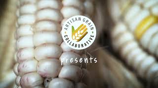 Teaser Trailer: Food Sovereignty among the Cornstalks