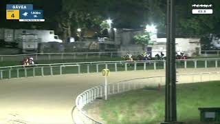 Vidéo de la course PMU PREMIO ROUSETTE
