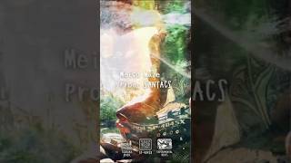 Meiso Maze - Prod. SANTACS | SP-404SX Beatmaking in Hokkaido #shorts