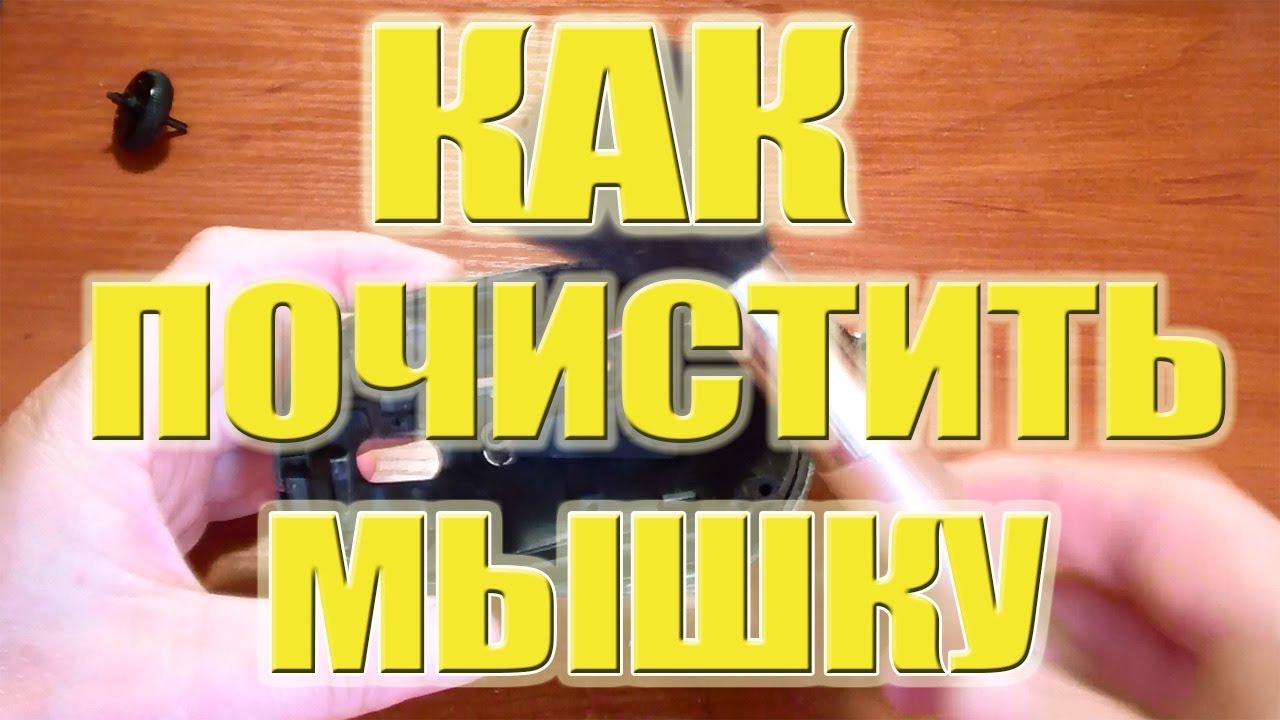 Как почистить МЫШКУ от пыли? Рабочий и проверенный способ чистки мышки.