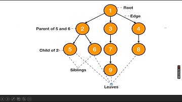 Topic: Trees in Data Structure | By: Vadini, Asst. Professor | CSE Department | RPIIT Academics