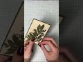 Sending thanks with the Nature's Symphony bundle