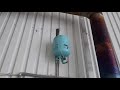 Воздушный булерьян под водяную систему отопления!