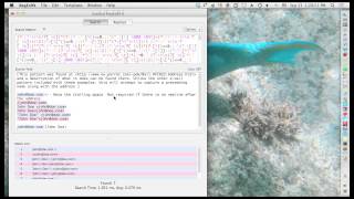 Using Regular Expressions (RegEx)