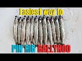 Easiest way to PIN RIG BALLYHOO for trolling