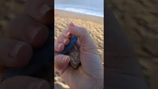 Sea Witch Anxiety Spell