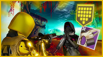 Reckless Oracle Just Became My Favorite Auto Rifle ( I Love It )