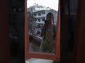 Me Beautiful Dance Clips Hiya S Heaven 