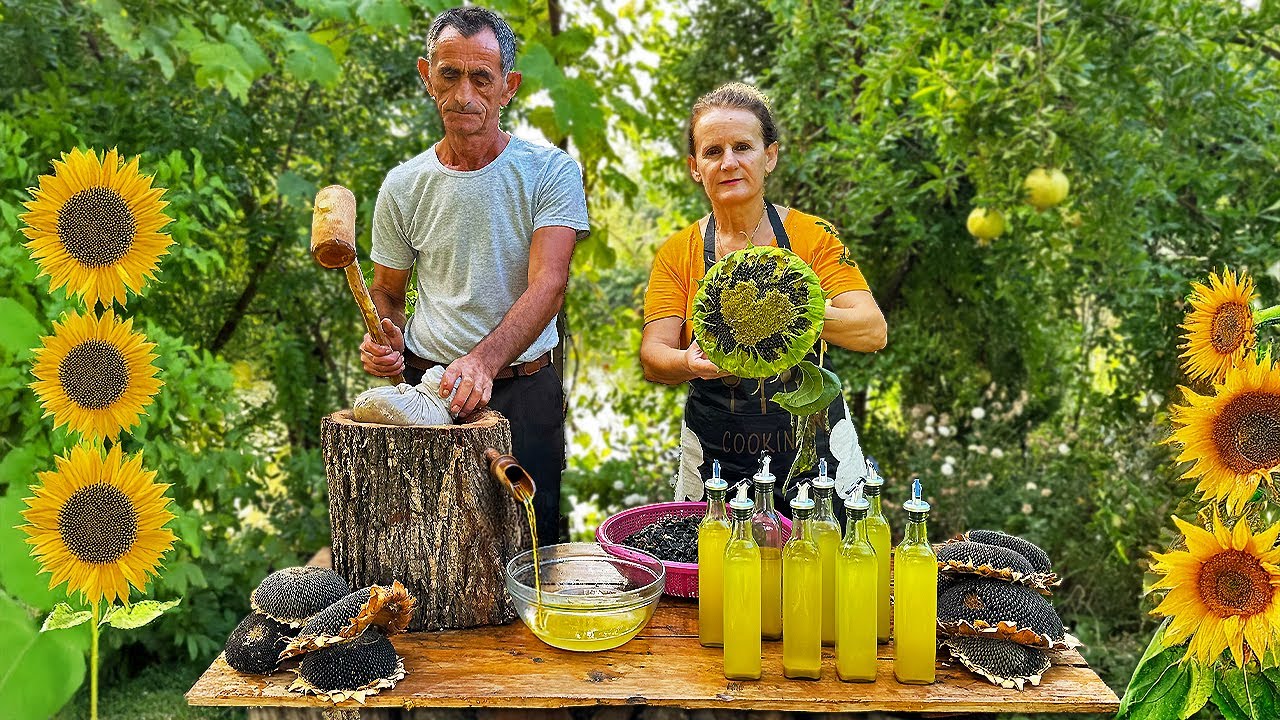 Harvesting Sunflowers 🌻 – Making Homemade Oil in a Mountain Village 🏔️🇦🇱